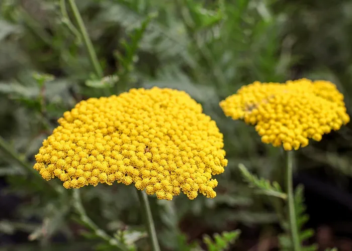 Derwent House 펜션 *