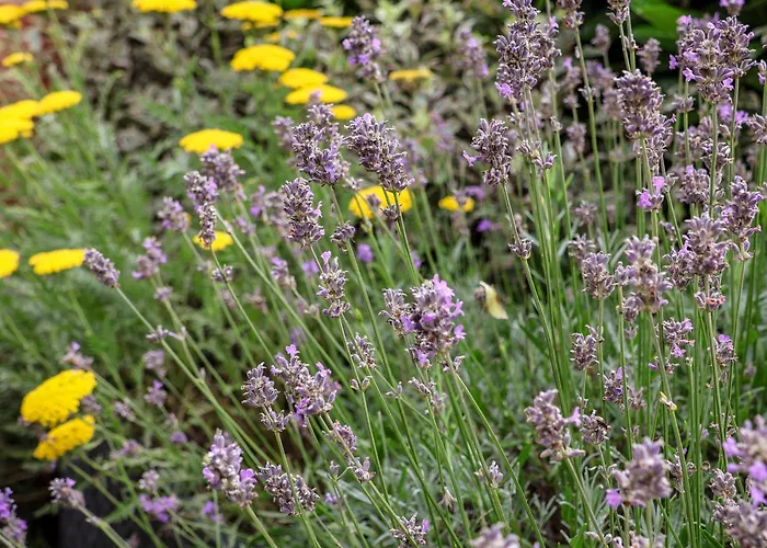 Derwent House 피커링